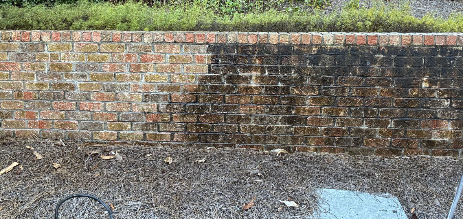 A brick retaining wall halfway through cleaning: the left half is clean brick, the right half is still black with mold and algae.